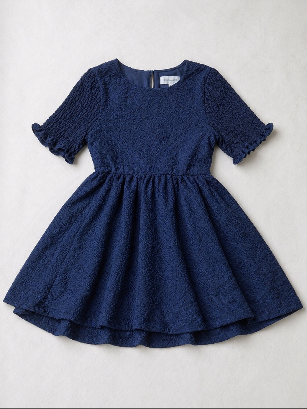 Isobella & Chloe Navy Textured Lace Fit-and-Flare Dress